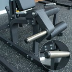 LEG EXTENSION PL