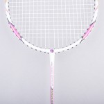 TOPGIM CARBON BADMINTON RACKET