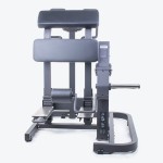 STANDING LEG CURL PL