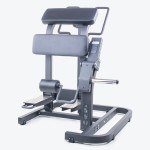 STANDING LEG CURL PL