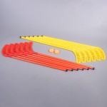 HOCKEY KIT 12 PVC STICKS WITH 2 DISCS