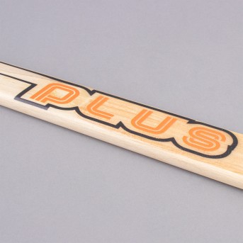 AZEMAD PLUS ROLLER HOCKEY STICK