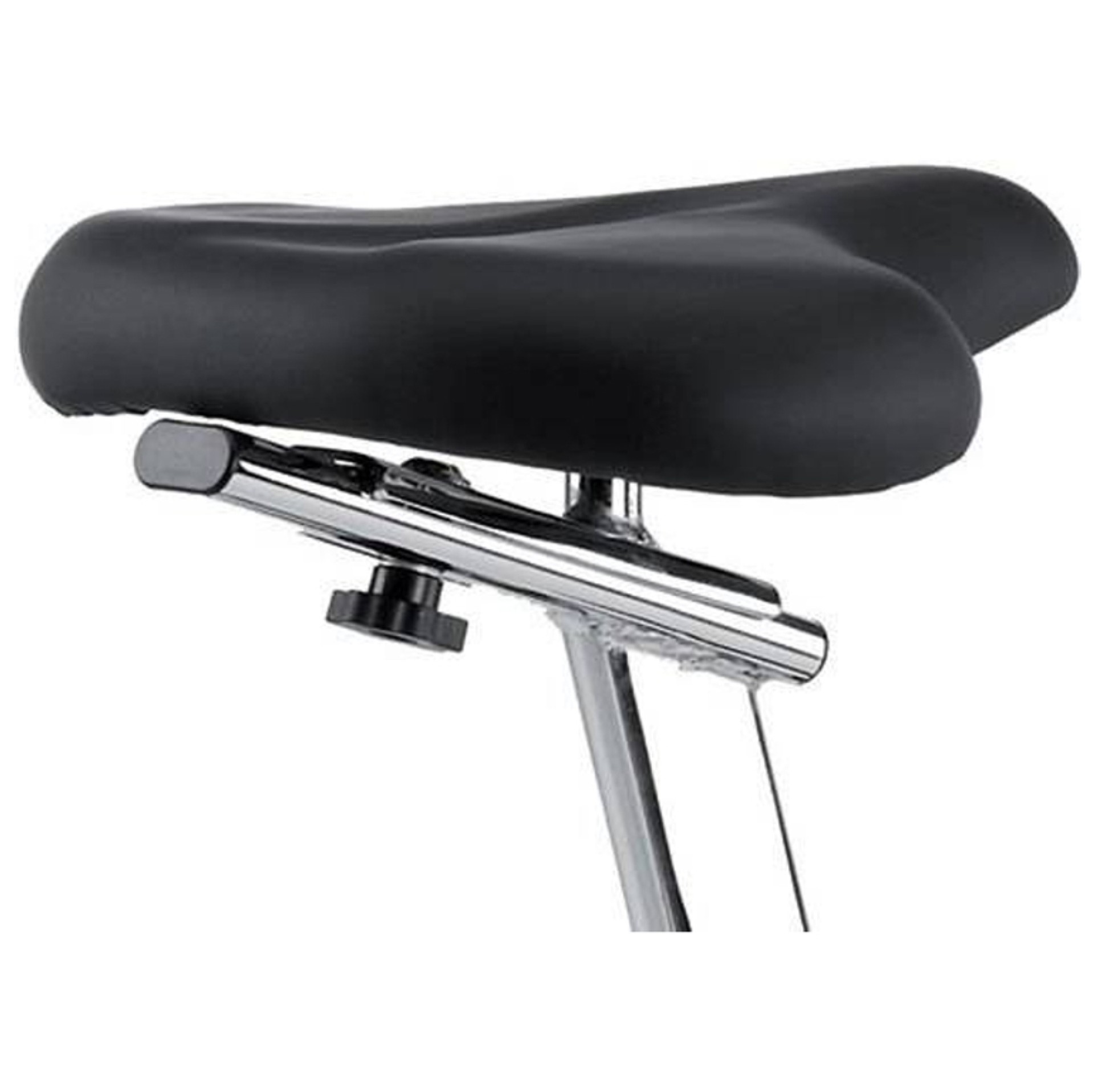 BIKE BH FITNESS ARTIC
