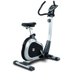 BIKE BH FITNESS ARTIC