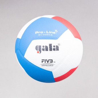 VOLLEYBALL BALL GALA BV5595S FIVB T5