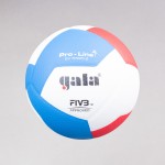 VOLLEYBALL BALL GALA BV5595S FIVB T5