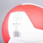 VOLLEYBALL BALL GALA BV5565S T5