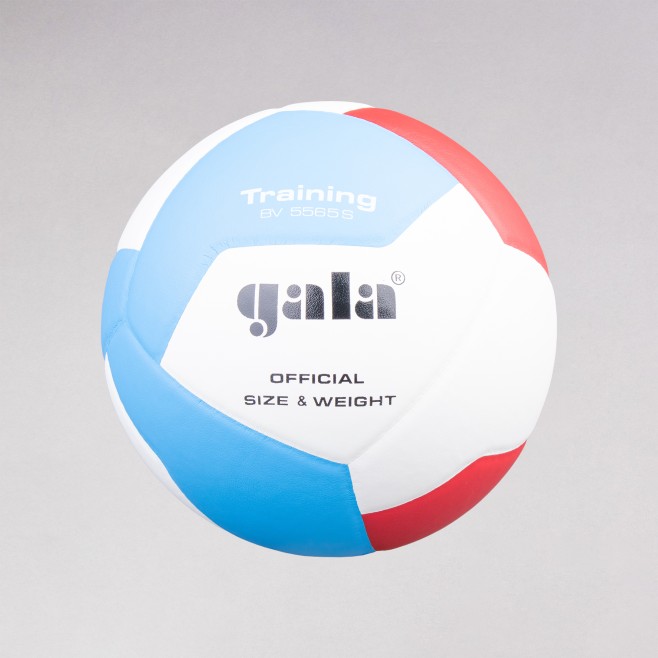 VOLLEYBALL BALL GALA BV5565S T5