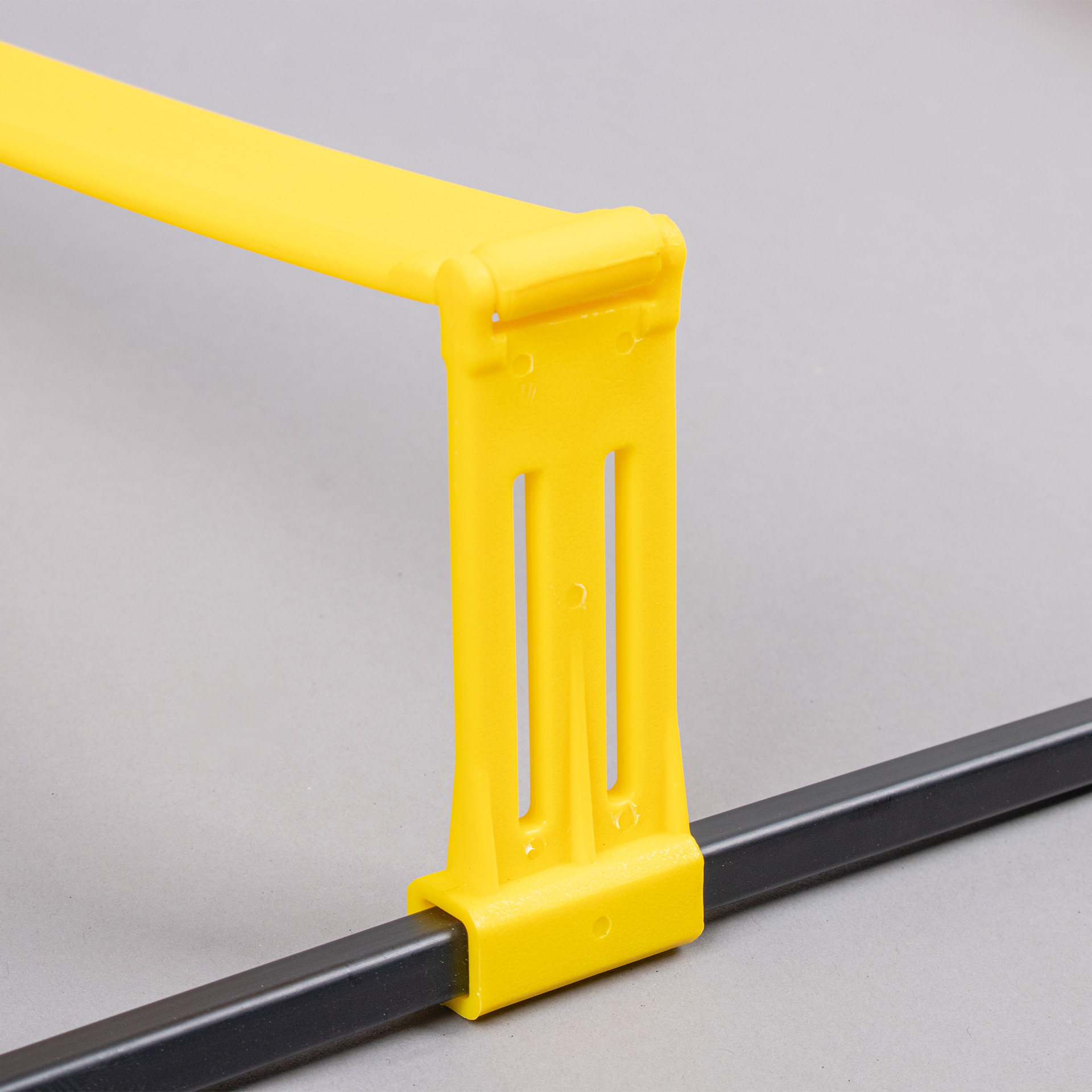 AGILITY AND SPEED LADDER WITH HURDLE