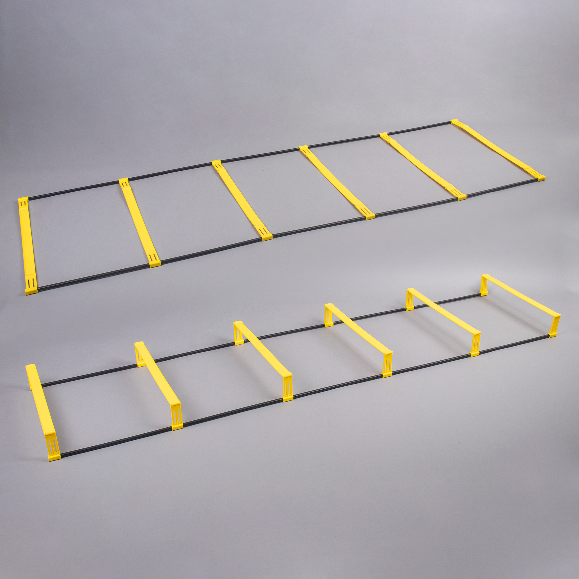 AGILITY AND SPEED LADDER WITH HURDLE