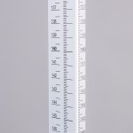 HEIGHT MEASURING ROD COLUMN SCALES SECA 700/703