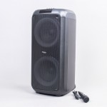 IBIZA 600W TWS PORTABLE SOUND SYSTEM