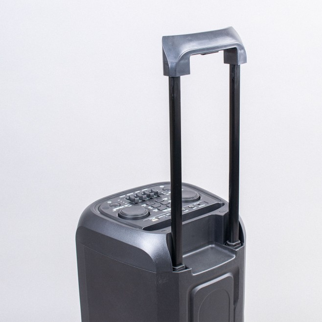 IBIZA 600W TWS PORTABLE SOUND SYSTEM