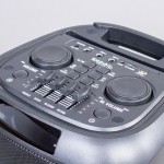 IBIZA 600W TWS PORTABLE SOUND SYSTEM