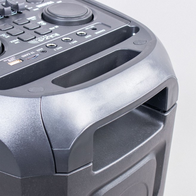 IBIZA 600W TWS PORTABLE SOUND SYSTEM