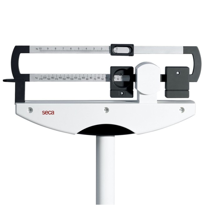 711 DRY-COLUMN MECHANICAL BALANCE